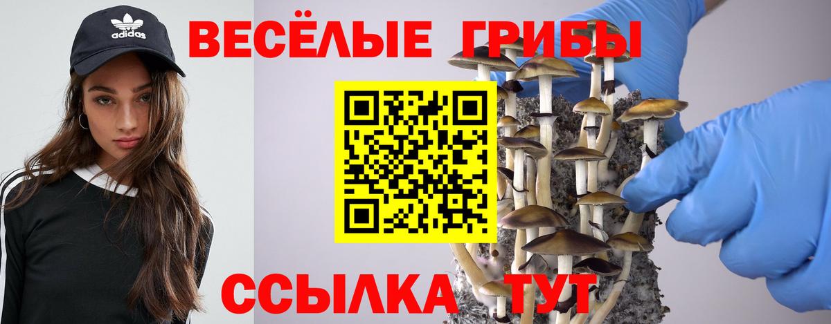 Галлюциногенные грибы Psilocybe  Галлюциногенные грибы Cubensis  Вход с VPN  Кубинка 